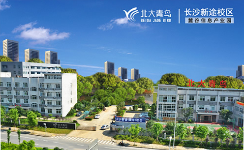 麓谷学院.png